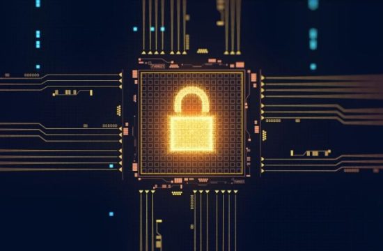 shutterstock 1888986790 768x432 1